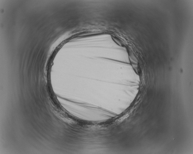 X0000062650246200601181817