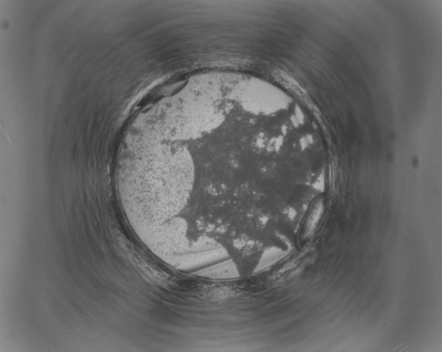 X0000062650249200601181817