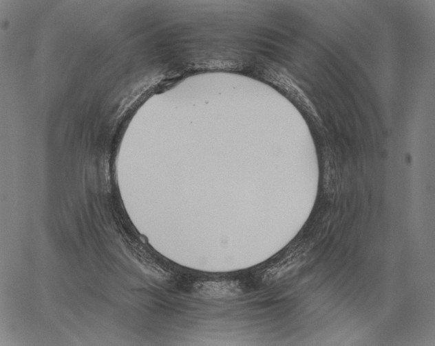 X0000062650251200601181817