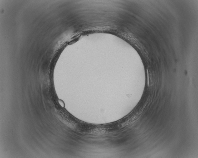 X0000062650252200601181817