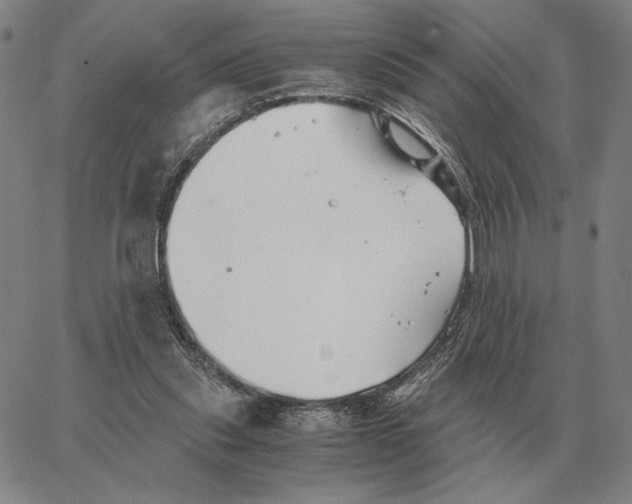 X0000062650253200601181817