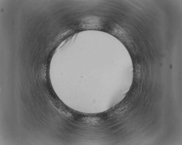 X0000062650255200601181817