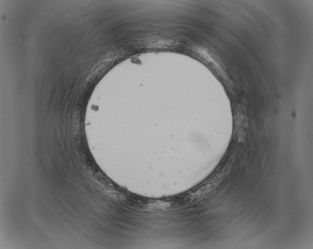 X0000062650257200601181817