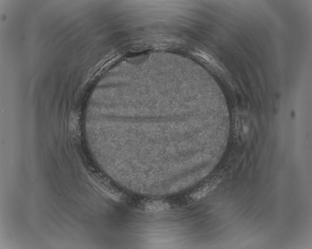 X0000062650258200601181817