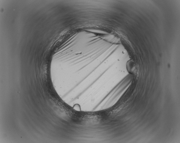 X0000062650260200601181817