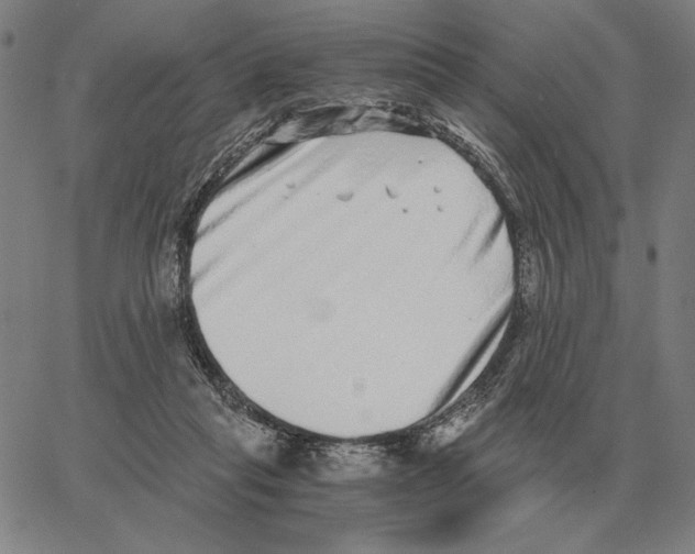 X0000062650261200601181817