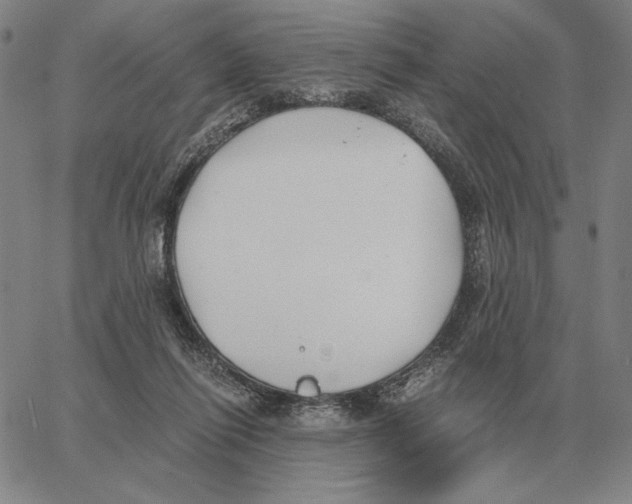 X0000062650262200601181817