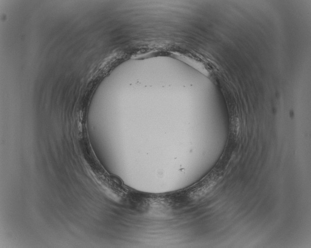 X0000062650264200601181817