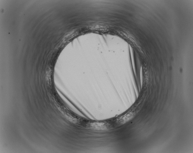 X0000062650265200601181817