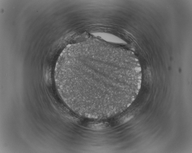 X0000062650267200601181817