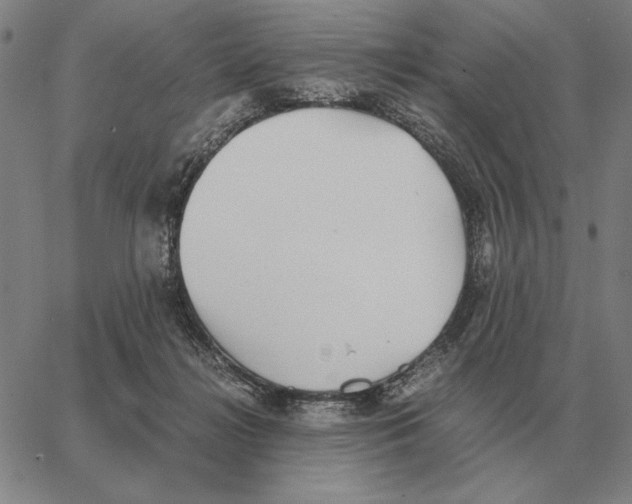 X0000062650268200601181817