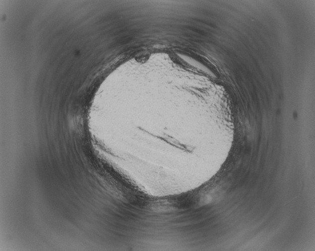 X0000062650269200601181817