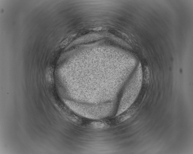 X0000062650272200601181817