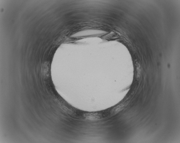 X0000062650273200601181817