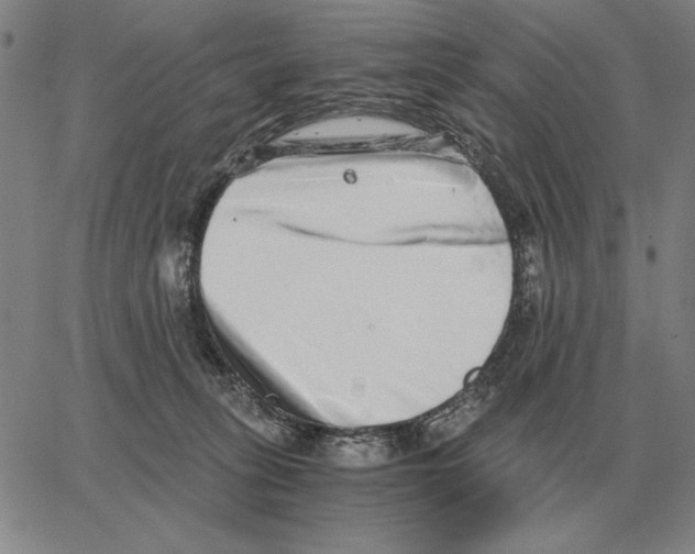 X0000062650275200601181817