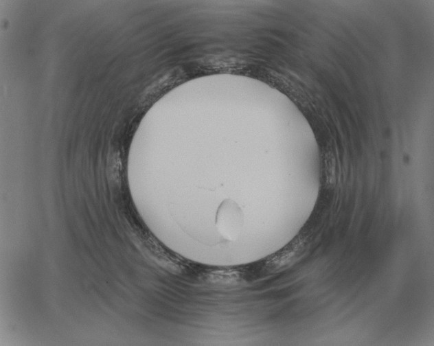 X0000062650279200601181817