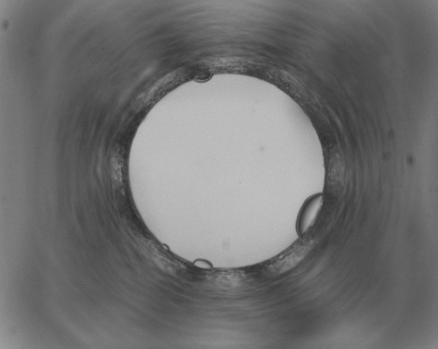 X0000062650282200601181817