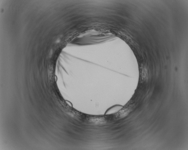 X0000062650283200601181817