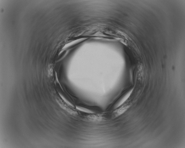 X0000062650284200601181817