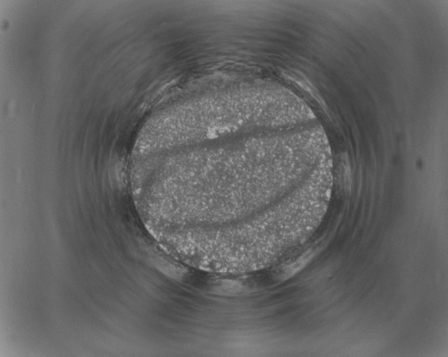 X0000062650285200601181817