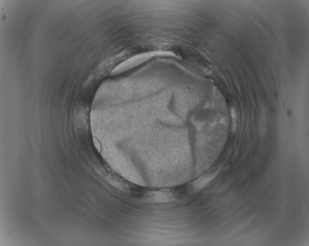 X0000062650286200601181817