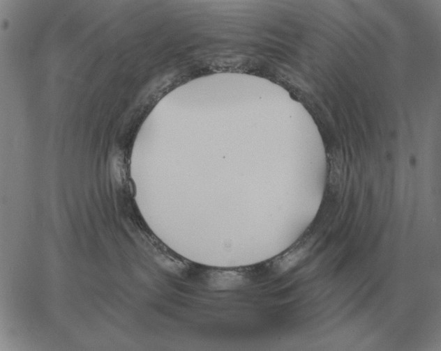 X0000062650287200601181817