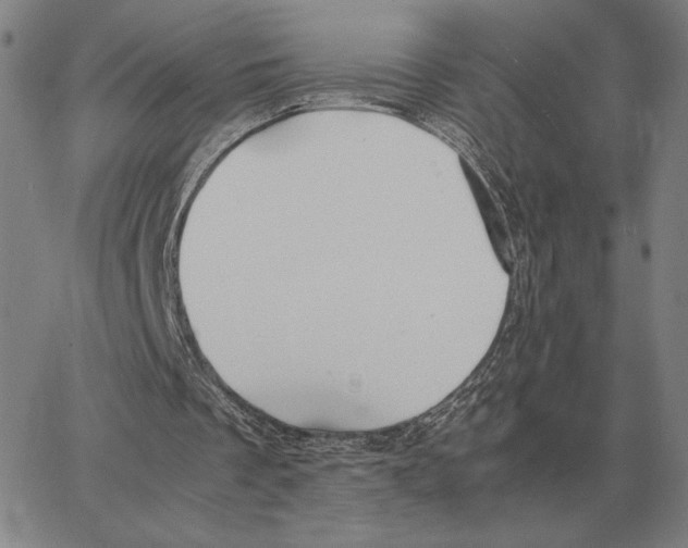 X0000062650289200601181817