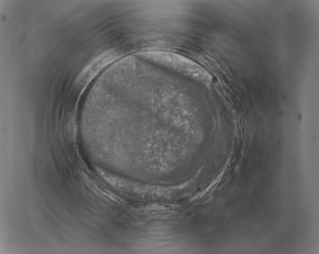 X0000062650290200601181817