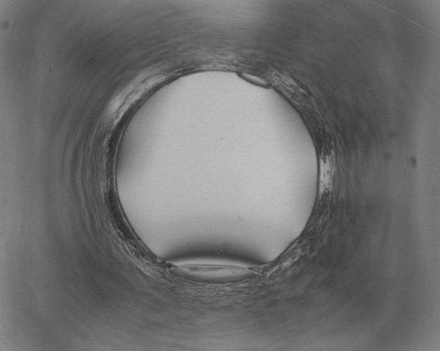 X0000062650291200601181817