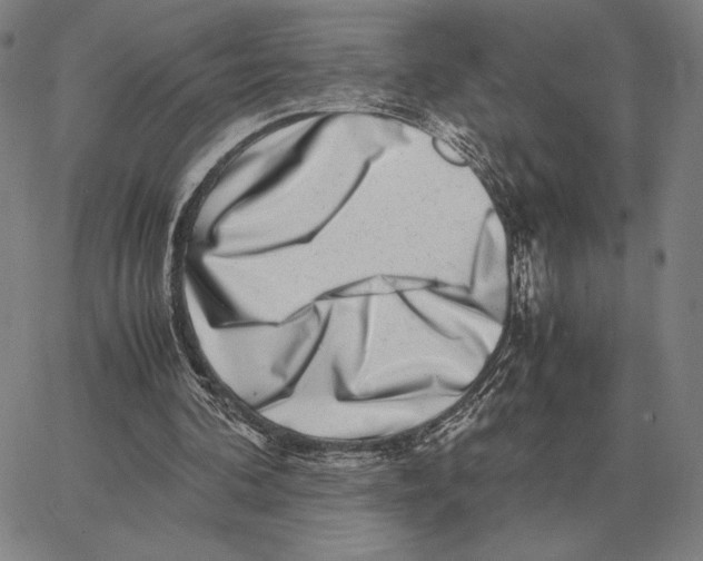 X0000062650292200601181817