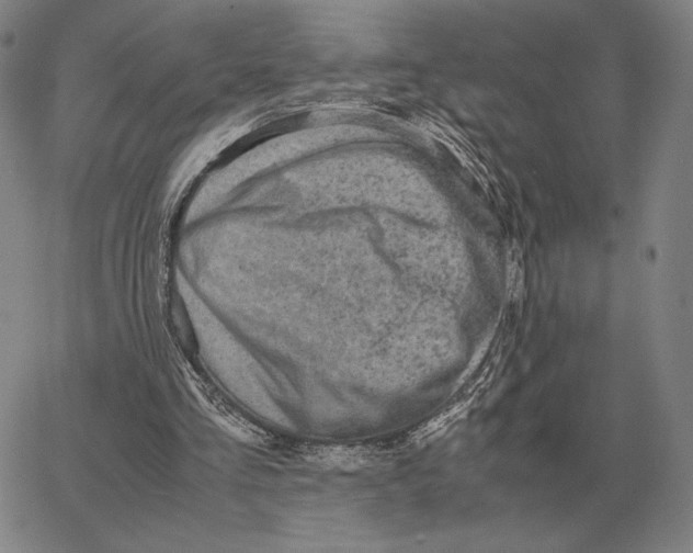 X0000062650293200601181817