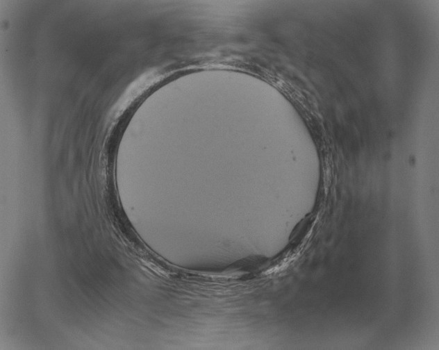 X0000062650295200601181817