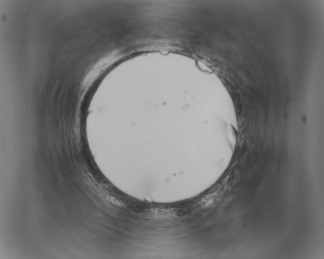 X0000062650296200601181817