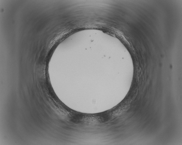 X0000062650299200601181816