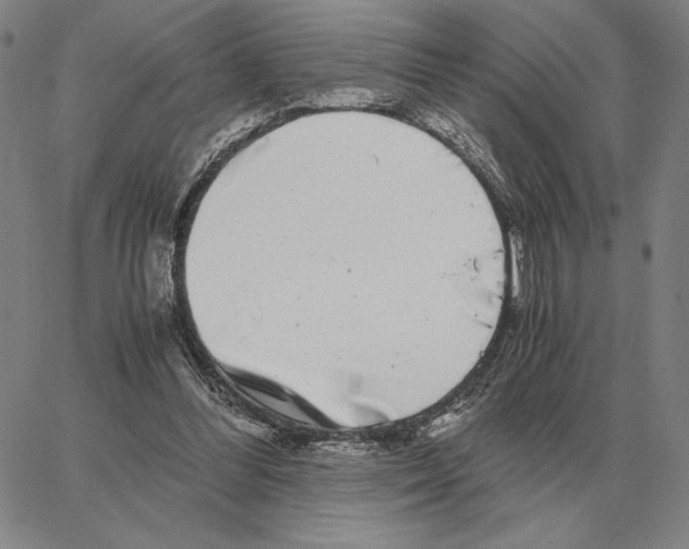 X0000062650300200601181816