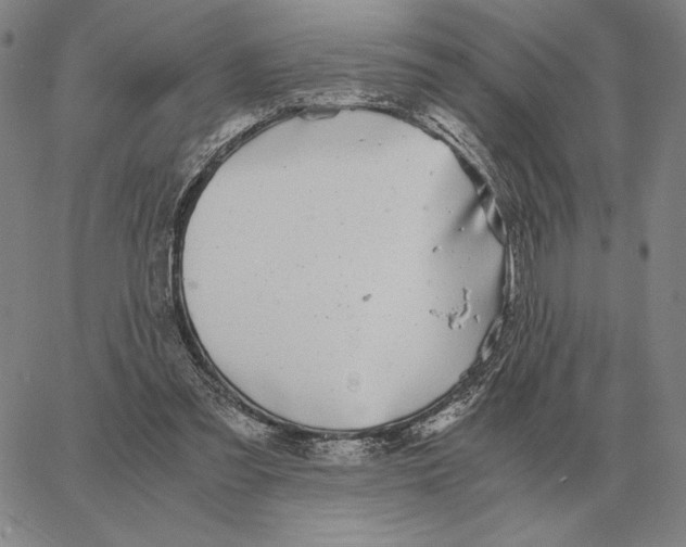 X0000062650301200601181816