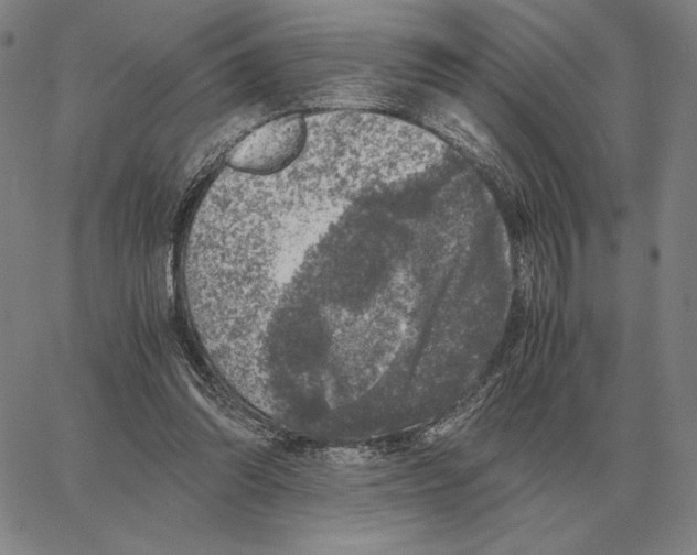 X0000062650302200601181816