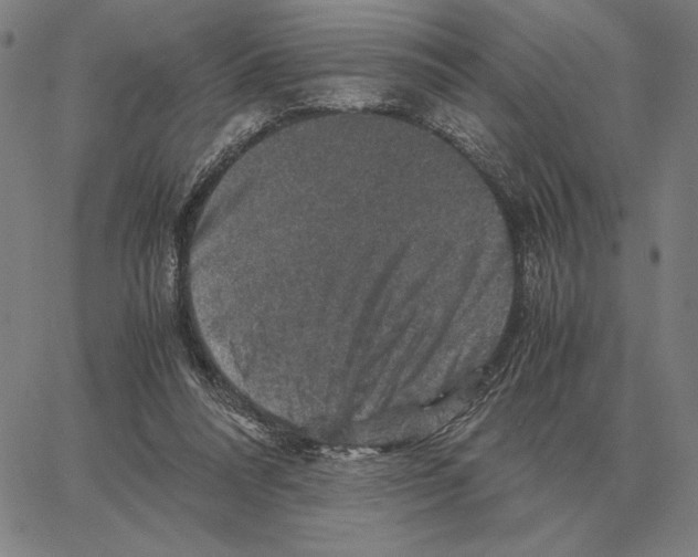 X0000062650304200601181816