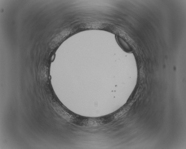 X0000062650305200601181816