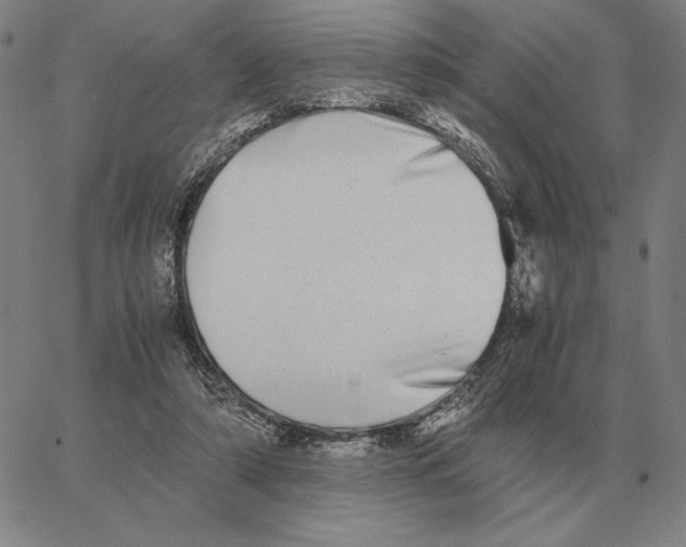 X0000062650306200601181816