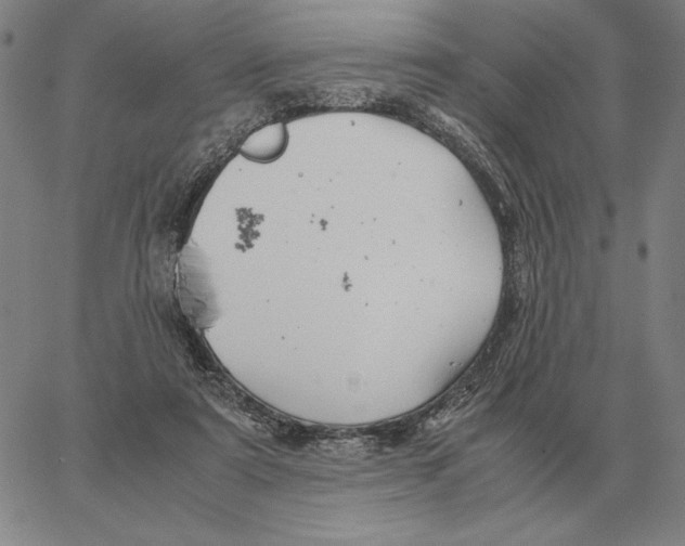 X0000062650307200601181816