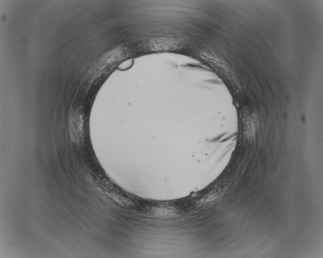 X0000062650308200601181816