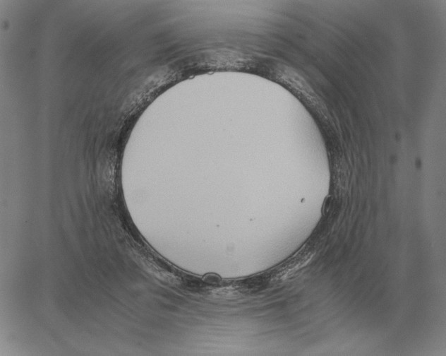 X0000062650309200601181816