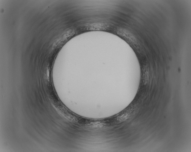 X0000062650310200601181816