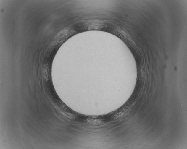 X0000062650311200601181816