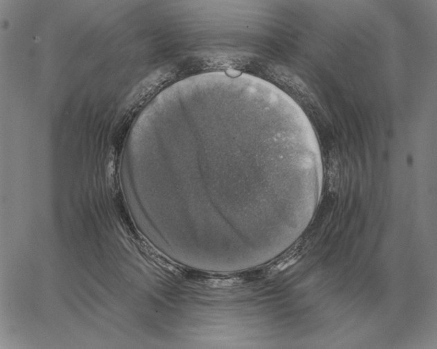 X0000062650314200601181816