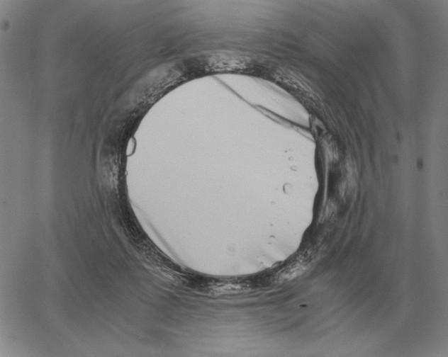 X0000062650315200601181816