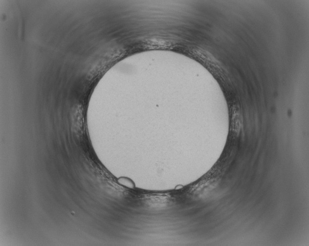 X0000062650318200601181816