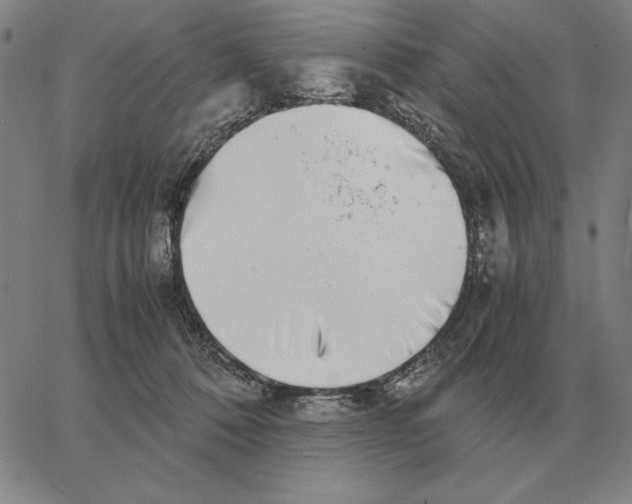 X0000062650320200601181816