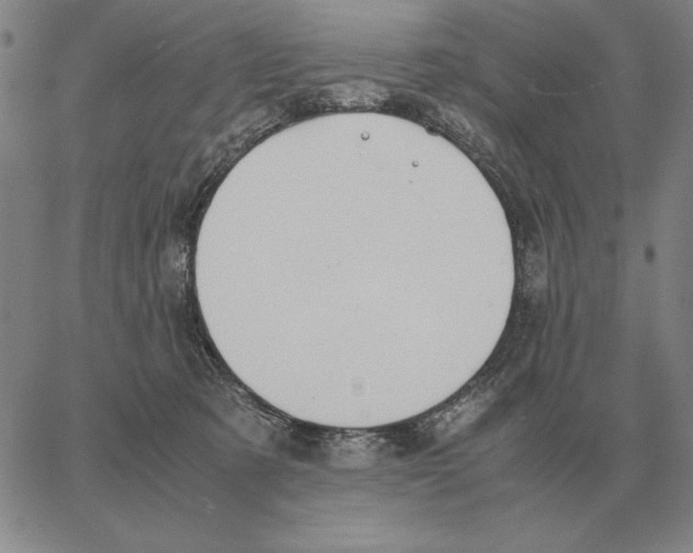 X0000062650321200601181816